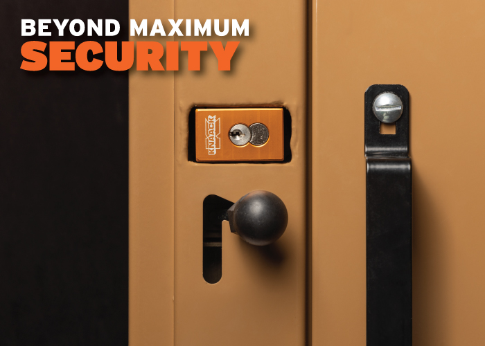 Maximize-Security